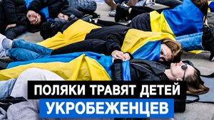 Поляки травят детей укробеженцев