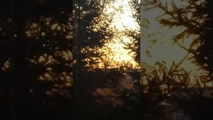 Снова в Омске слышны звуки ,которые называют Стон земли или Гул небес.(в начале видео пролетал верт