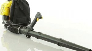 Воздуходувка CHAMPION GBR333