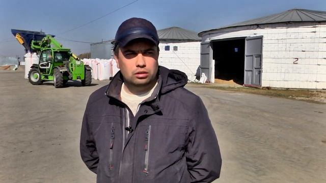 Расторопша - не сорняк, а выгодная сельскохозяйственная культура.