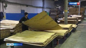 Фанерный комбинат в Кадые серьёзно обновился в пандемию