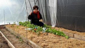 Почему в России нет пермакультуры. Основные принципы