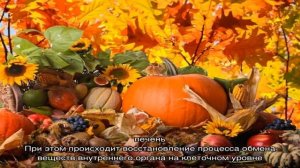 Тыквенный сок: польза свежевыжатого тыквенного сока для взрослых и детей, лечение им заболеваний, .