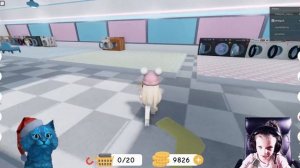 КОТЁНОК ЛАЙК СТИРАЕТ ЧУЖИЕ ВЕЩИ в Роблокс! Roblox Laundry Simulator DashaKeksik