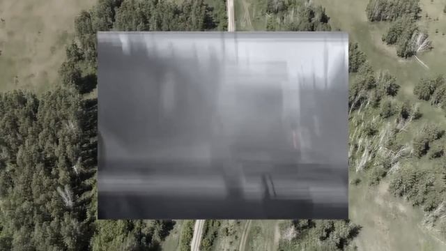 Печальная история Лизы Фомкиной. Как появилась «ЛизаАлерт».