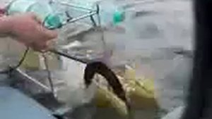 Шок Альтернативная бесплатная энергия вокруг нас Самодельная мини ГЭС