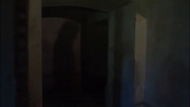 Тайна замка Ольденбургских