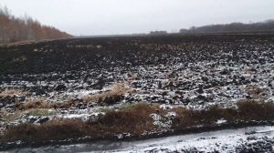 По следам детства советское наследия совхоза Комсомолец