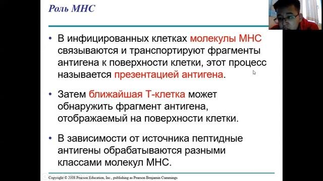 Иммунная система Урок 6. Рецепторы антигенов.