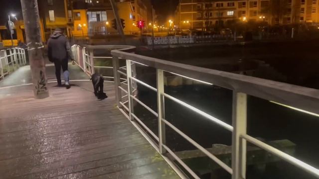 ГЕРМАНИЯ БЕЗ ФИЛЬТРОВ & ПРОГУЛКА ПО ВЕЧЕРНЕМУ ГОРОДУ ГРАЙФСВАЛЬД #балтийскоеморе #север #море #тур