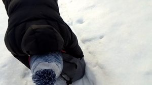 Снежный пикник в лесу