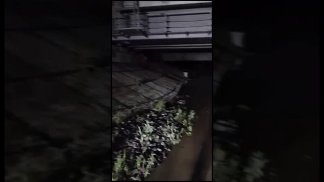Эвакуируют жителей Уссурийска
