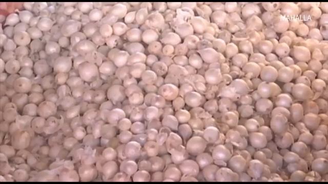 Iste'molchi | Пиёз ҳақида [17.01.2020] смотреть онлайн