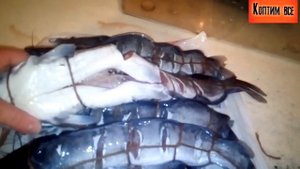 ?Как коптить клариевого сома? очень вкусно
