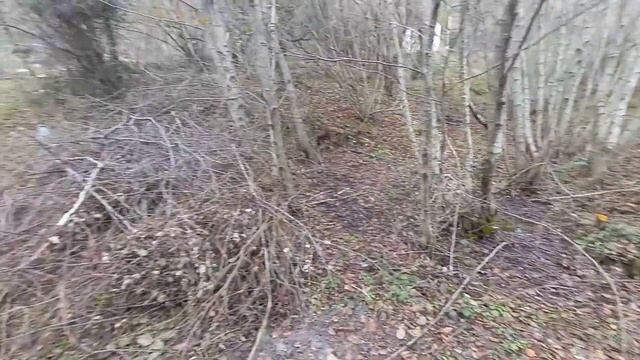 Верхний Юрт. Участок в продаже. Дача. Лучшее решение. смотреть онлайн