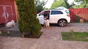 VLOG Блогер миллионник идёт в ломбард. Стыдно или нет