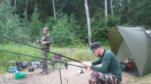 Ловля ГУСТЕРЫ на ФИДЕР. Рыбалка на озере с Братом!