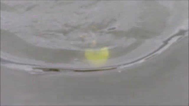 Miuras Mouse Big смотреть онлайн