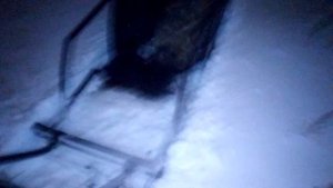 Мотобуксировщик алабай