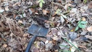 Нашли бронзу на металлокопе!!!! МЕТАЛЛОКОП