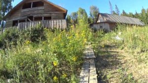 Где-то в тайге.))).mp4