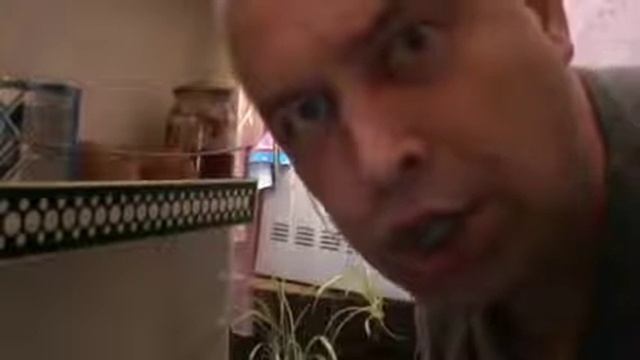 Что вы делаете в моем холодильнике? МЕМ смотреть онлайн