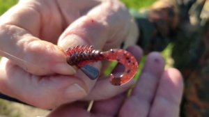 На отводном канале в Тушино 01 08 2023