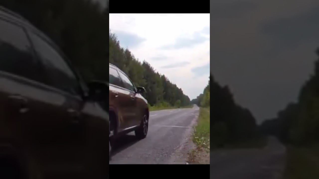 Двухосный легковой прицеп МЗСА 817738.001. ЦЛП АРИВА