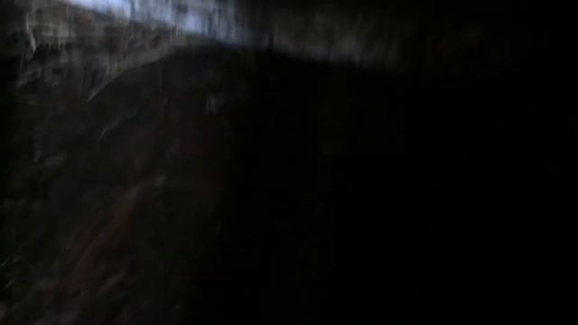 Откорм быков до забоя смотреть онлайн