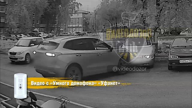 дорожные курьёзы