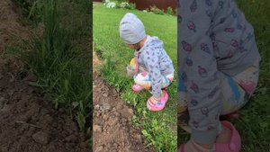 Лёлик сажает капусту