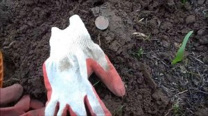 Время Вечно! Коп с MD 6350