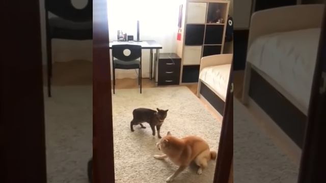 Шило в пятой точке смотреть онлайн