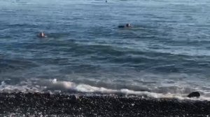 Вот такая ситуация на пляжах в Лазаревском 2024