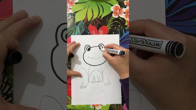 Basit "Kurbağa" Çizimi смотреть онлайн