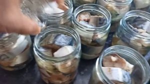 Скумбрия. Консервы.