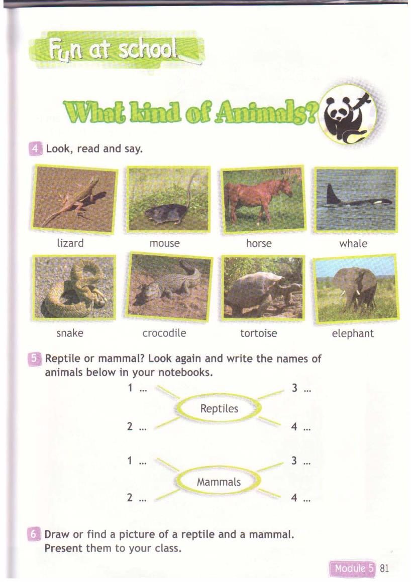 Complete the names of the animals. Рептилии на английском. Spotlight 3 животные. Animals 3 класс Spotlight. Англискийread and find the names.