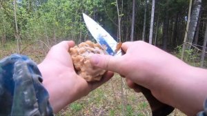 Где и когда собирать СТРОЧКИ, СМОРЧКИ и ЧАГУ?!
