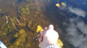 Аэратор Livewell для живца