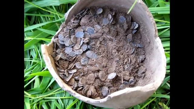 Как глобальные проекты разоблачают ложь официальной истории...