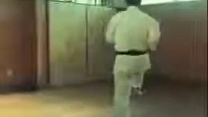Сансэйру ката, Годзю рю карате до