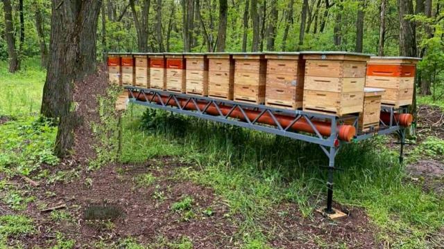 УВИДЕЛ И ЗАГОРЕЛСЯ ТАКОЙ ПЛАТФОРМОЙ. Бджоловiз.BEES TRANSPORTATION PLATFORM. смотреть онлайн