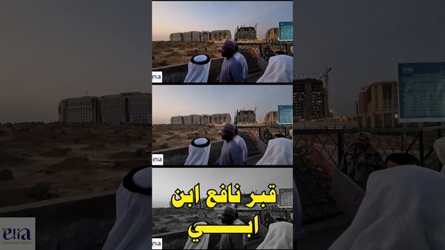 قبر نافع ابن ابي الذي نقرأ القرآن بتلاوته   و قبور زوجات النبي