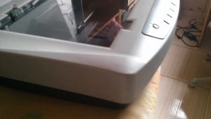 HP Scanjet 5590