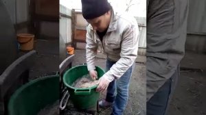 Гуси, утки, куры: ЧЕМ КОРМИТЬ?