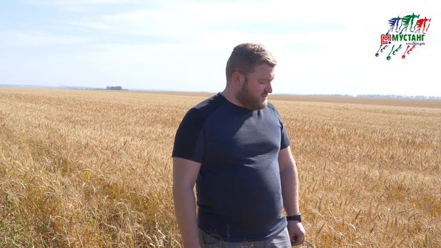 Пшеница от Мустанг-Сибирь 65 Ц/Га обзор смотреть онлайн