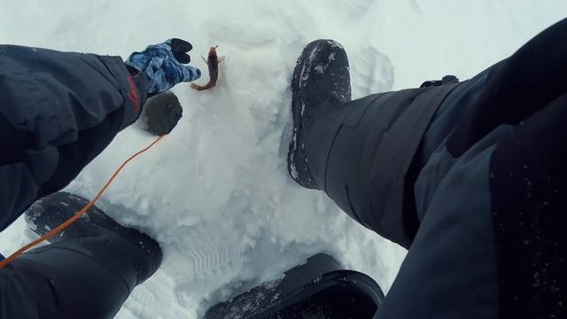 БРАКОНЬЕРЫ НАКАЗАНЫ!!! Вот это метель! Царская уха из жирных ершей. смотреть онлайн