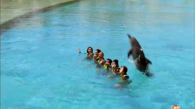 Atlantis The Palm, Dubai смотреть онлайн