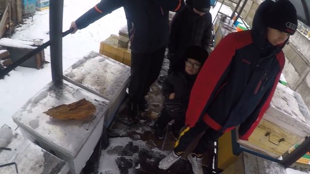 Почему пчелы сверху это плохо Зимовка пчел на улице Плановый осмотр пчел смотреть онлайн