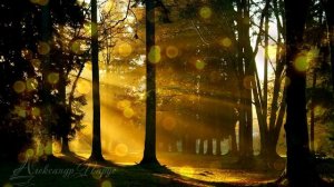 Экспресс медитация в течении рабочего дня! 10 минут и ты спокоен!